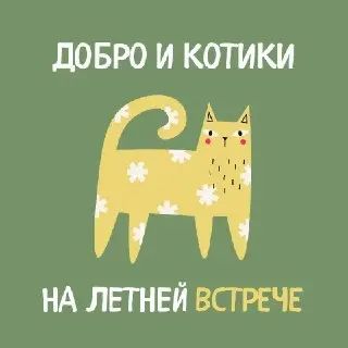 Благотворительная акция для котиков на маркете «Встреча» 4 июля