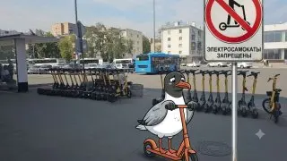 Прокуратура требует отменить незаконный запрет на самокаты в Лобне