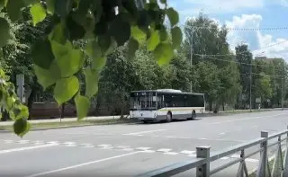В Подмосковье обновили разметку на 1,5 тысячи пешеходных переходов