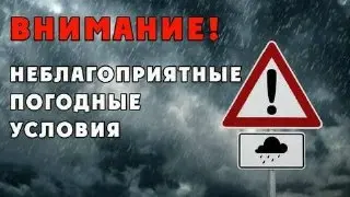Сильный дождь и гроза ожидаются в Московской области 3-4 июля