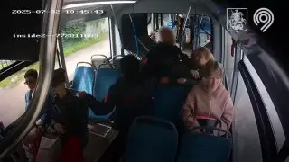 Жительница Москвы получила условный срок за нападение на контролера