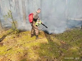 Три лесных пожара ликвидированы в Подмосковье за сутки
