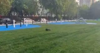 Открытие новой площадки для собак на Борисовских прудах