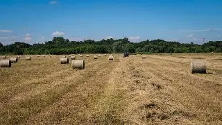 В Бронницах активно заготовляют корма для скота на полях
