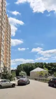 В Звенигороде с многоэтажки сбросили пакет с водой на тротуар