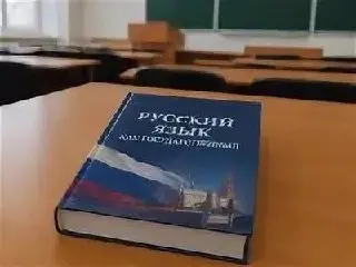 Новый курс «Русский язык как государственный» внедрят в вузах РФ к 2027 году
