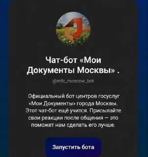 Запись на загранпаспорт в Москве: теперь обязательный чат-бот Max