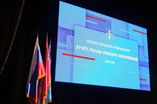 Глава Сергиево-Посадского округа представила ежегодный отчёт
