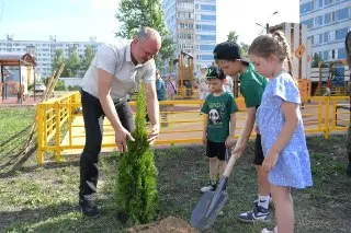 В Дмитрове высадили 250 деревьев для озеленения дворов