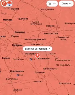 В Раменском началось цветение ольхи: советы для аллергиков