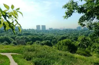 Сходненский ковш: уникальный природный памятник Тушино
