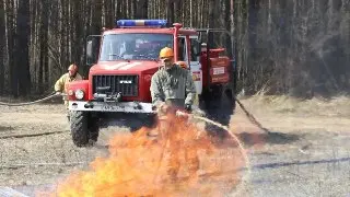 Лесной пожар в Белоомутском лесничестве успешно потушен