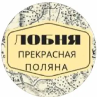 Пожар в Лобне: помощь нужна 14-летнему подростку и его семье