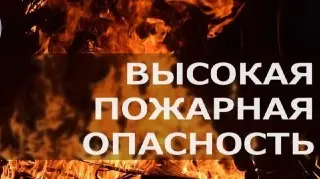 Высокая пожароопасность в Московской области 14 июня