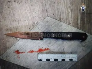 Убийство в Озёрах: Мужчина убил жену и вызвал полицию