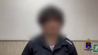 Подросток поджег трансформаторную подстанцию в Подмосковье