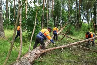 Экологическая акция «Вода России»: чистота берега озера Стрелка