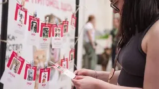 Фестиваль «Моспитомец»: Приютите питомца и исполните его мечту