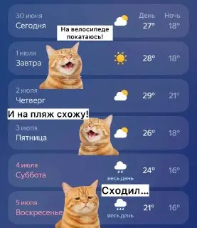В Москве ожидаются ливни и похолодание в выходные