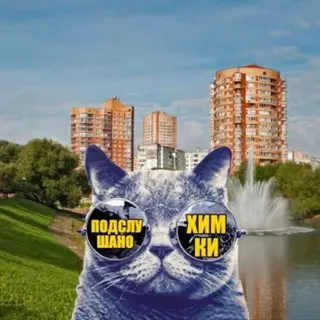В Химках раскрыта кража золотого кольца и денег: подробности