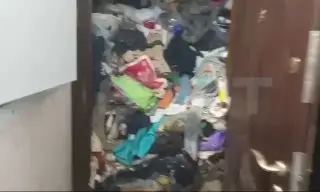 Женщина превратила квартиру в свалку, оставив 8 котов в ужасных условиях