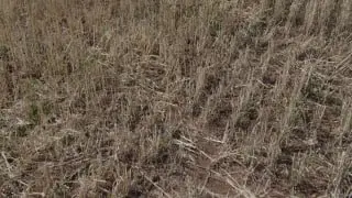 Новый мобильный командный пункт для БПЛА Supercam дебютирует в Минске
