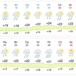 Зеленоград: резкое похолодание и дожди с 14 июня