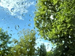 Сильные дожди и грозы ожидаются в Подмосковье 4 июля