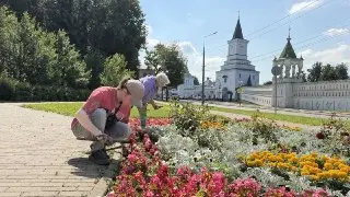 В Дзержинском высадили 53 тысячи цветов для озеленения