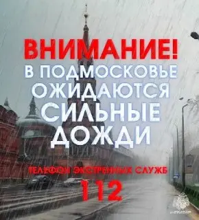 Сильный дождь и гроза ожидаются в Московской области 3-4 июля