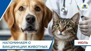 Бесплатная вакцинация животных в июле: график и адреса