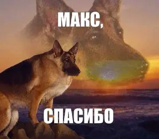 Имя Макс теряет популярность в Москве: причины и последствия