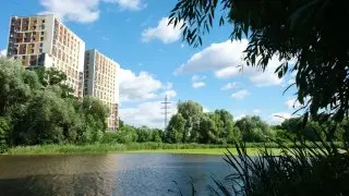 Загрязнение озера Долгое: результаты анализов и меры реагирования