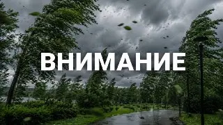 Анимационные программы и викторины в парках Красногорска переносятся