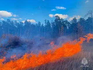 Три возгорания травы в Якутске за один день: подробности