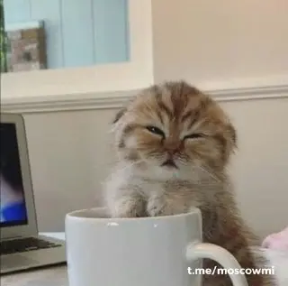 Три чашки кофе в день снижают риск заболеваний печени