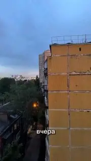 В Котельниках спасли стрижа, застрявшего на балконе