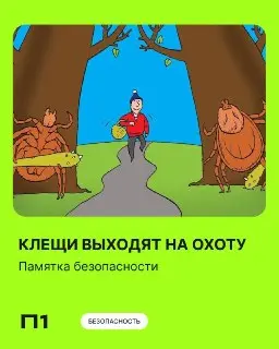 Клещи атакуют: 11 000 жителей Подмосковья обратились к врачам