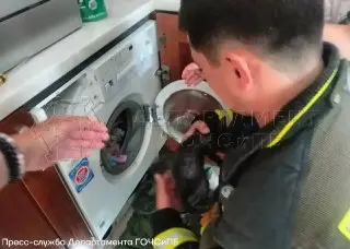 Котенок спасен после случайного запуска стиральной машины