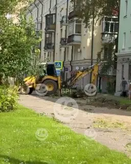 Жители недовольны вырубкой деревьев на проспекте Ленина