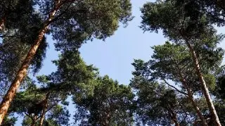 Тимоховский парк в Видном: новое пространство для отдыха