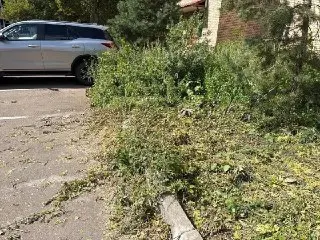 Жители жалуются на сваленные ветки во дворе на Предтеченском переулке