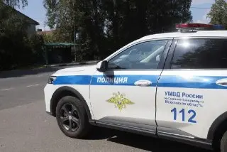 Полиция задержала женщину за кражу имущества с дач москвичей
