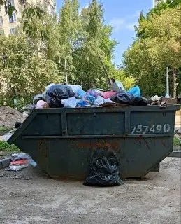 Проблема с переполненным мусорным контейнером на Камчатской улице