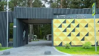 Экофестиваль в Шишкином лесу: Природа ждет гостей осенью 2026