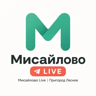 В Подмосковье объявлена угроза беспилотников: что делать жителям?