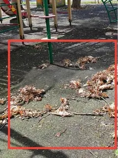 Жители Лефортово требуют уборки во дворе на Краснокурсантском проезде