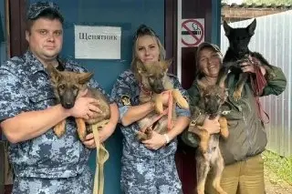Шесть Щенков ГУФСИН Отправились На Службу В Ярославль И Владимир