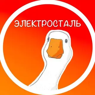 Обновленные правила провоза животных и багажа в такси с сентября