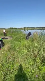 Уборка водоемов в Проводах: последствия разлива моющих средств